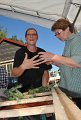 Binden am Donnerstag 018